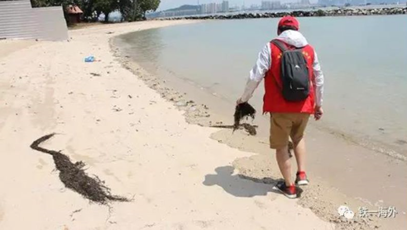 首页|必赢网络游戏平台官方网站