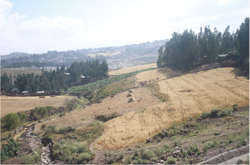 首页|必赢网络游戏平台官方网站