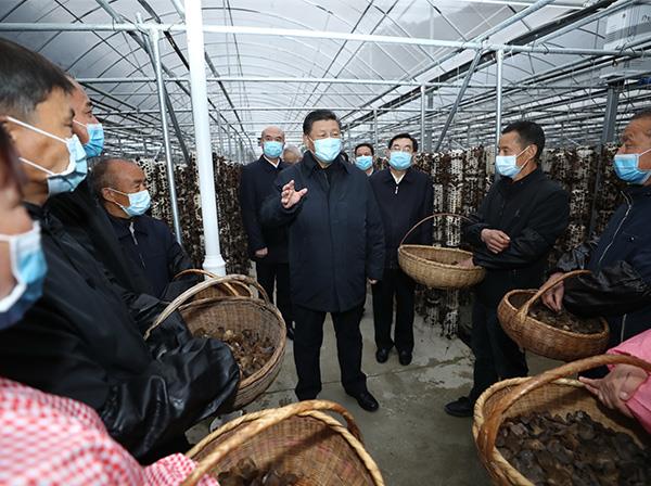 习近平总书记考察中国必赢网络游戏平台援建的金米村智能连栋木耳大棚